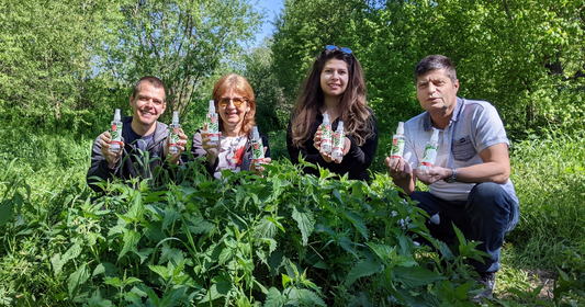 Wild-Brennnesselwasser - Die natürliche Lösung für Haarausfall und fettiges Haar