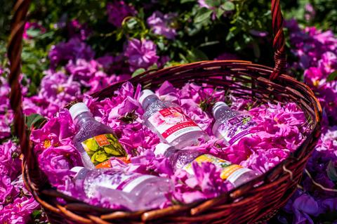 Die 6 besten Bio Naturkosmetikprodukte (Wirkung und Anwendung)