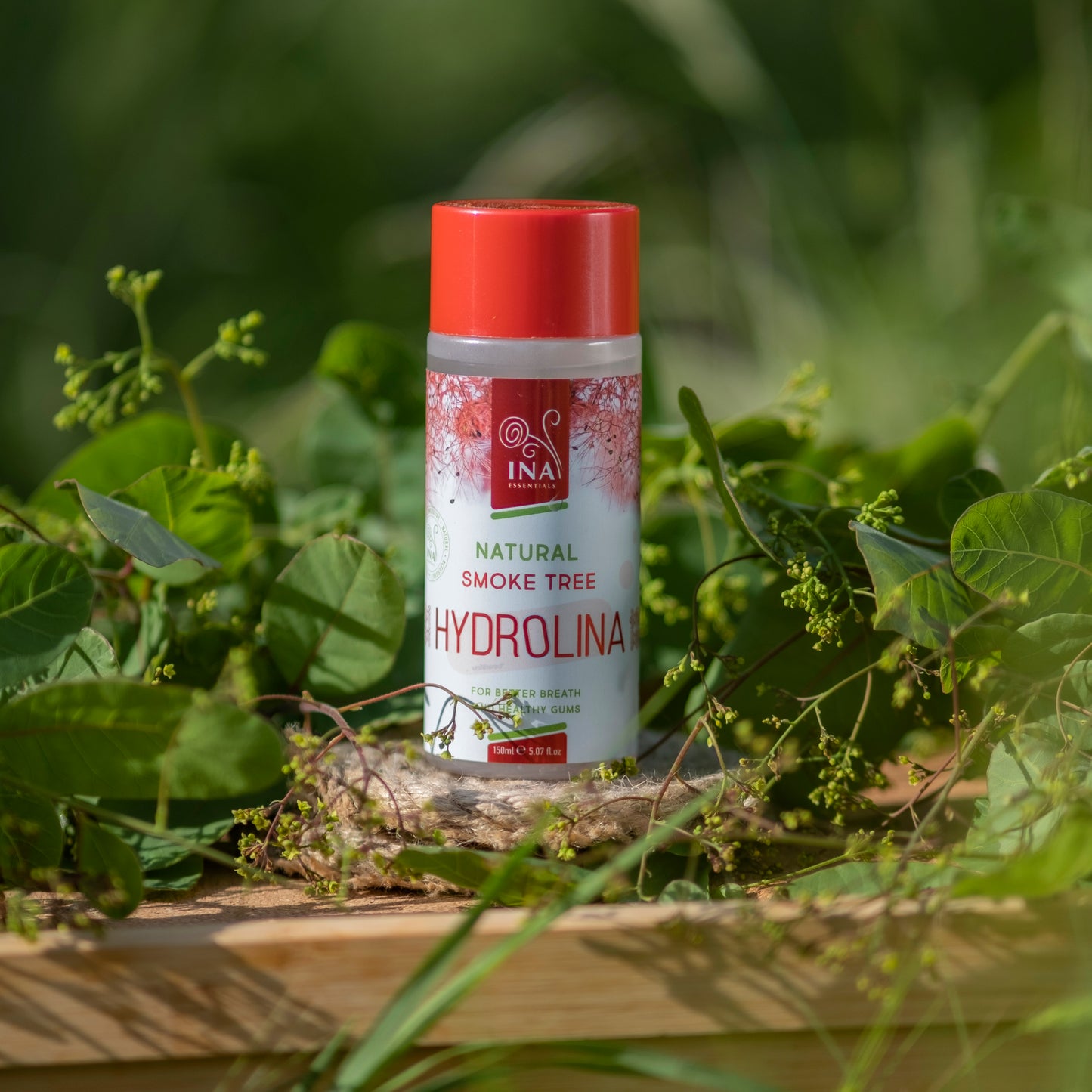 Familienpaket für Mundpflege - 3x Mundwasser Perückenstrauch Wasser - Hydrolina