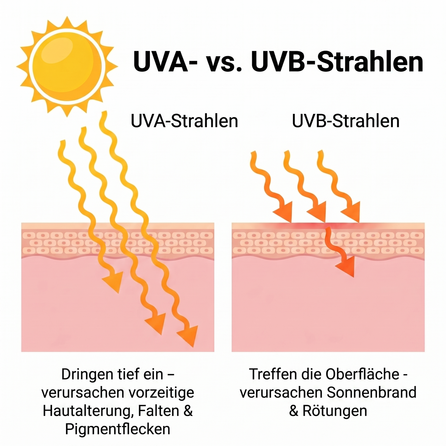 spf DE infographic